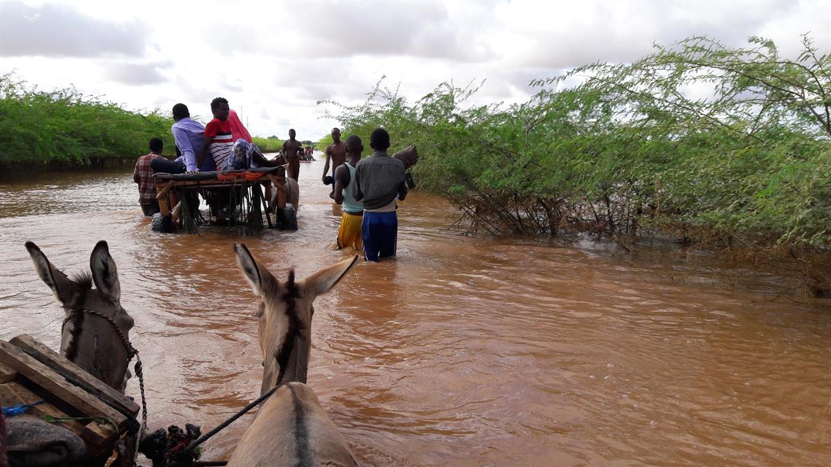 In Somalia werden Esel zur Evakuierung der überfluteten Dörfer eingesetzt.