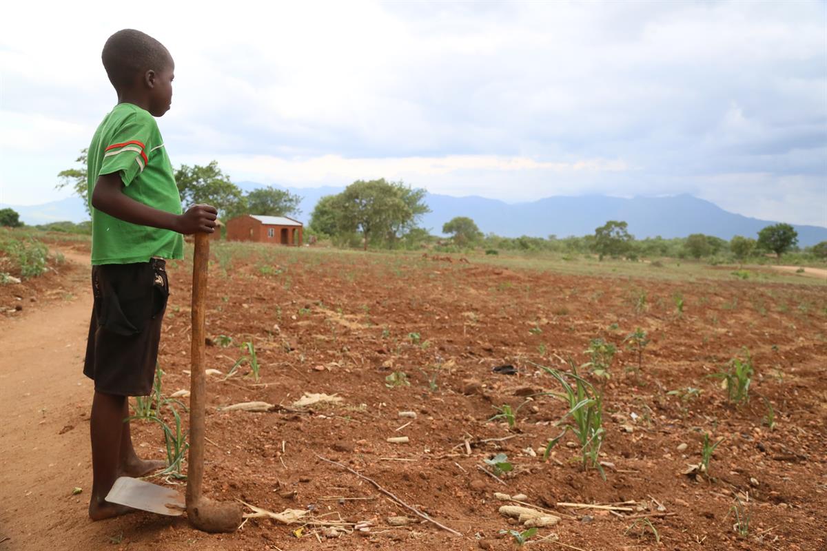 In Malawi kam es durch die Dürre bereits zu Ernteausfällen.