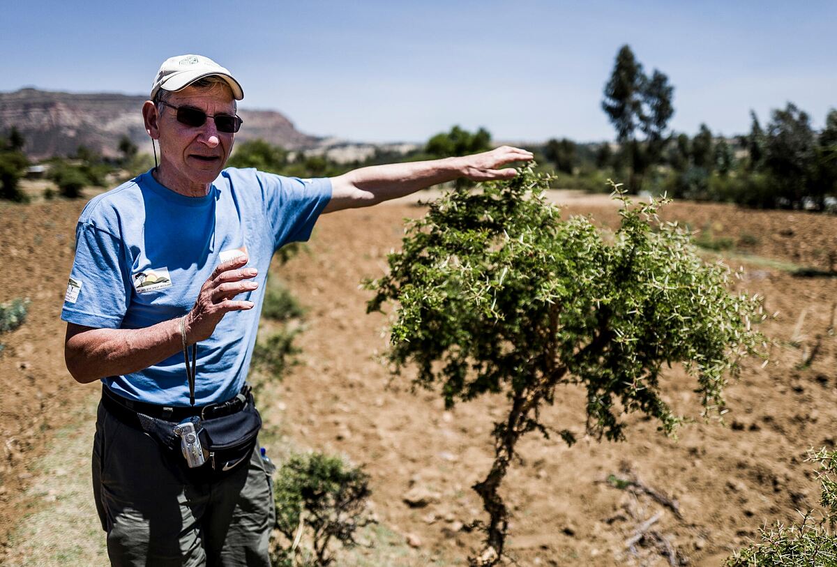 Wiederbegrünung mit FMNR