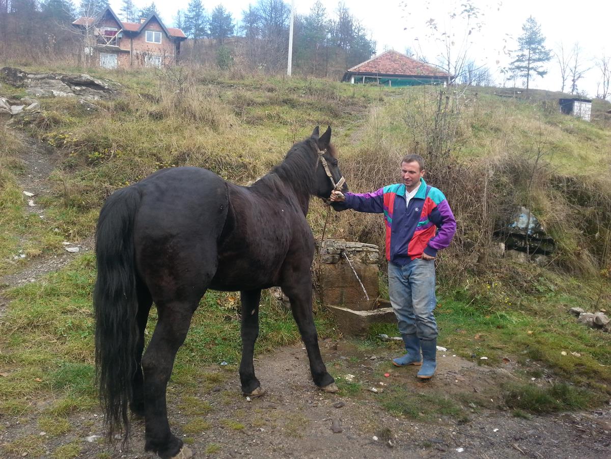 Nachdem sein einziges Pferd in den Überschwemmungen getötet wurde, erhielt Mirsad von World Vision ein neues.