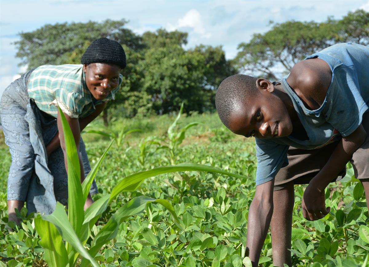 Diese Familie in Sambia hat an Ackerbauschulungen von World Vision teilgenommen.